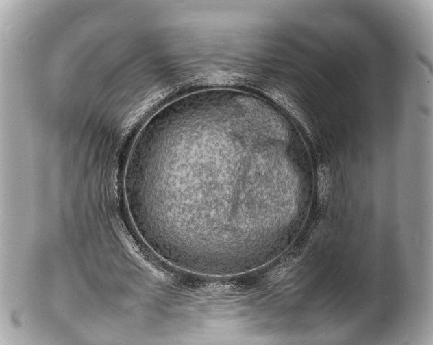 X0000100980581200807011445