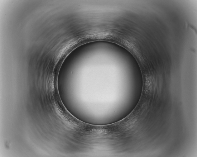 X0000100980582200807011445