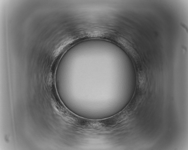 X0000100980583200807011445