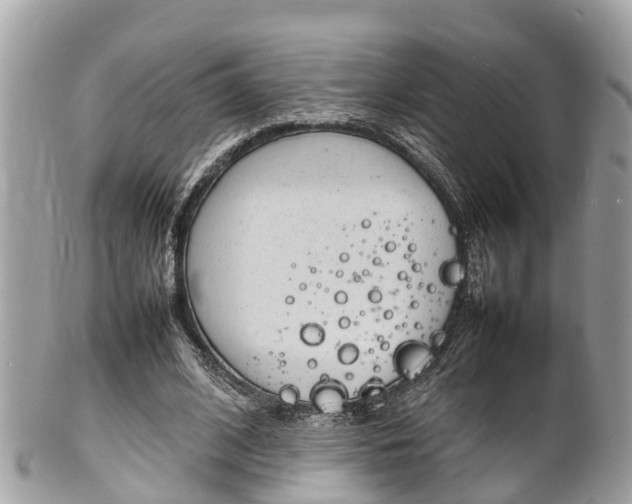 X0000100980584200807011445