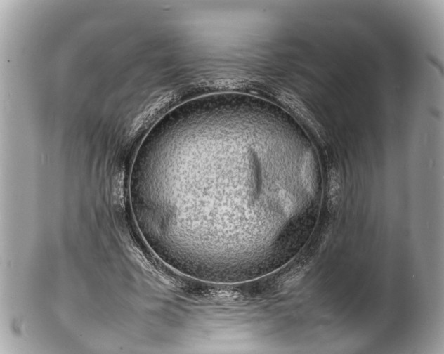 X0000100980585200807011445