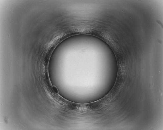 X0000100980587200807011445