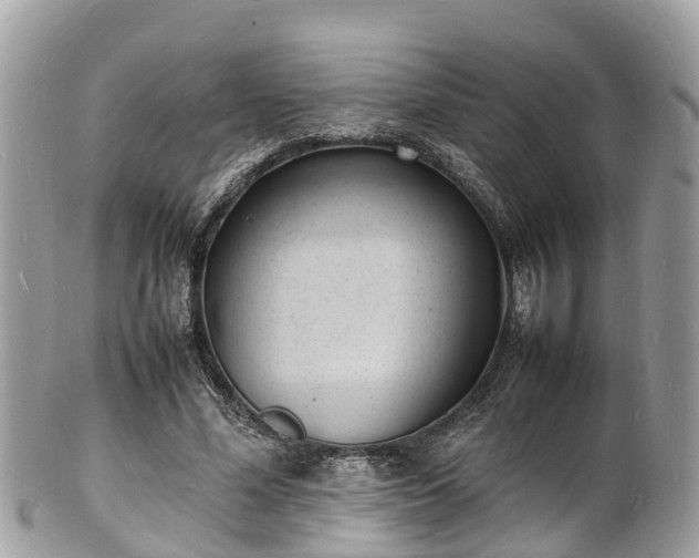 X0000100980588200807011445