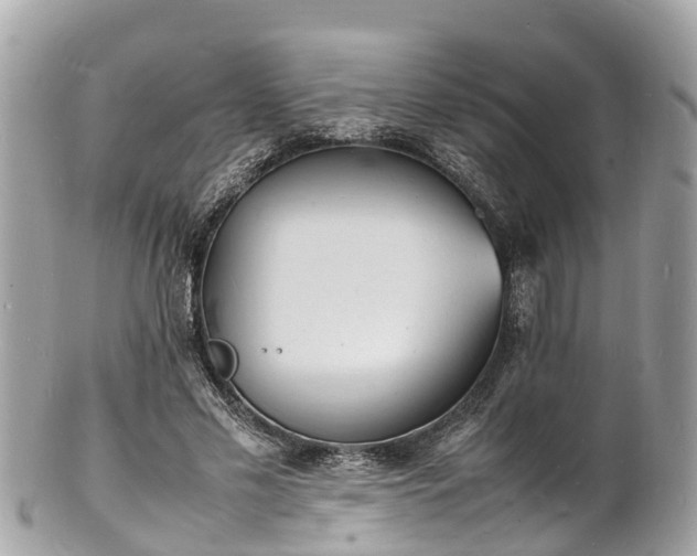 X0000100980589200807011445