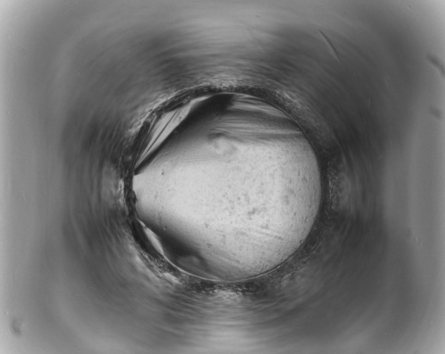 X0000100980592200807011445