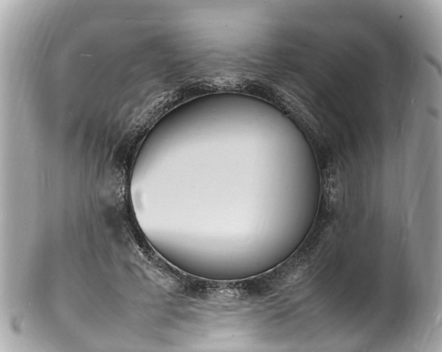 X0000100980593200807011445