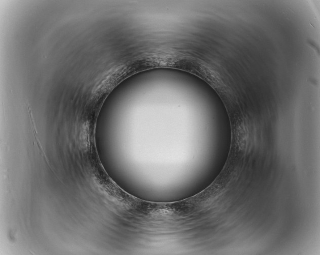 X0000100980594200807011445