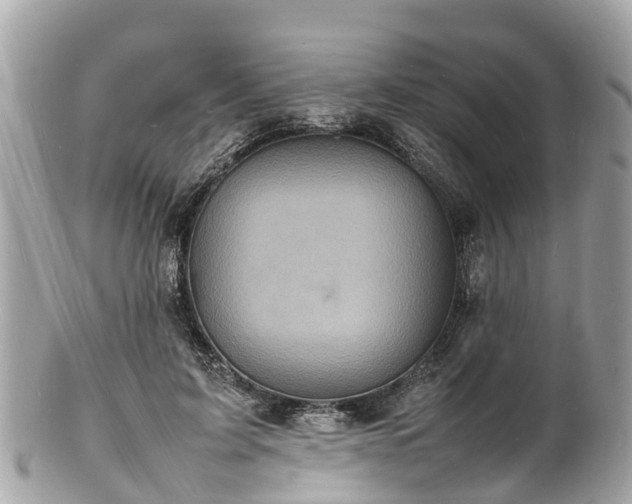 X0000100980595200807011445