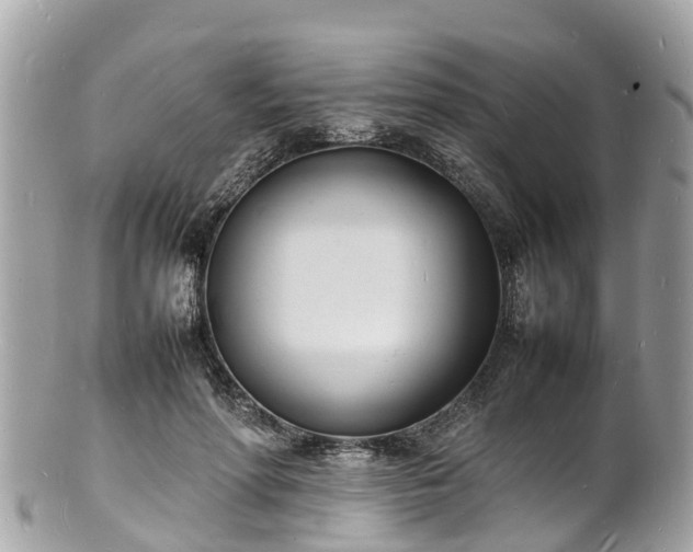 X0000100980598200807011445