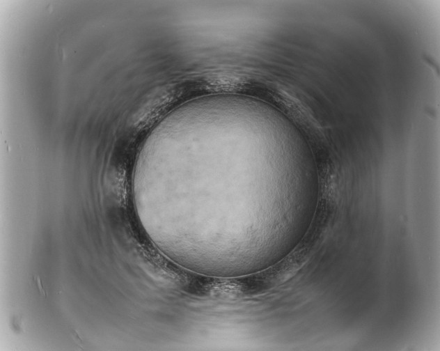 X0000100980599200807011445