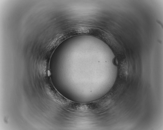 X0000100980600200807011445