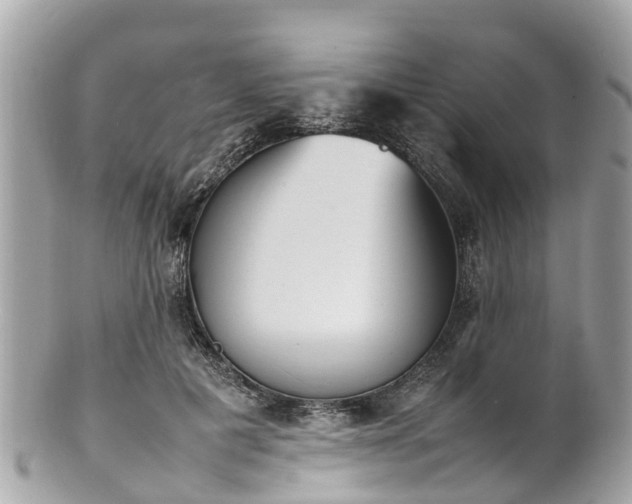 X0000100980601200807011445