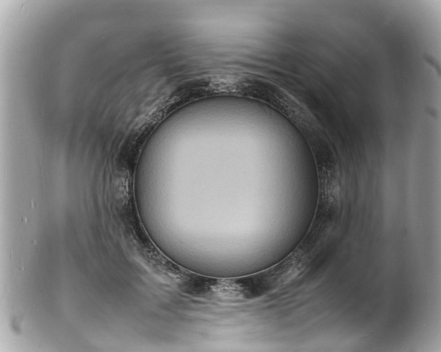 X0000100980603200807011445