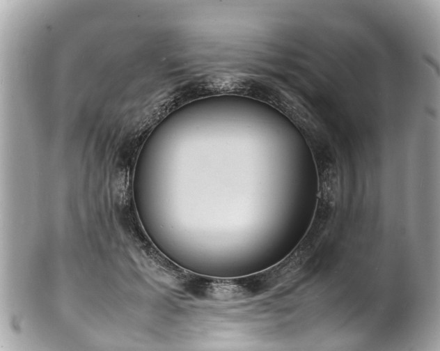 X0000100980605200807011445