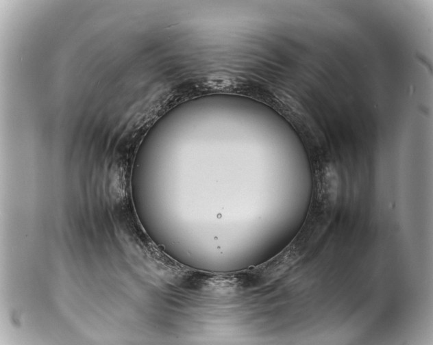 X0000100980606200807011445