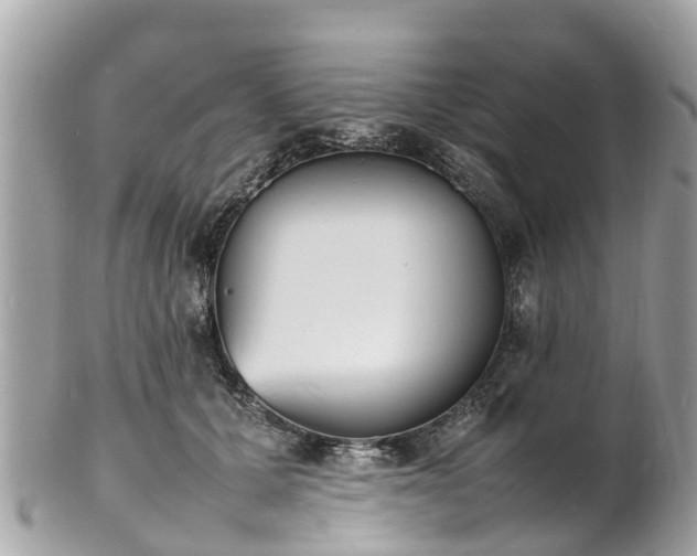 X0000100980607200807011445