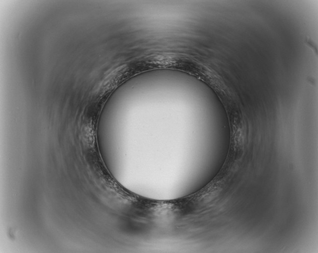 X0000100980609200807011445