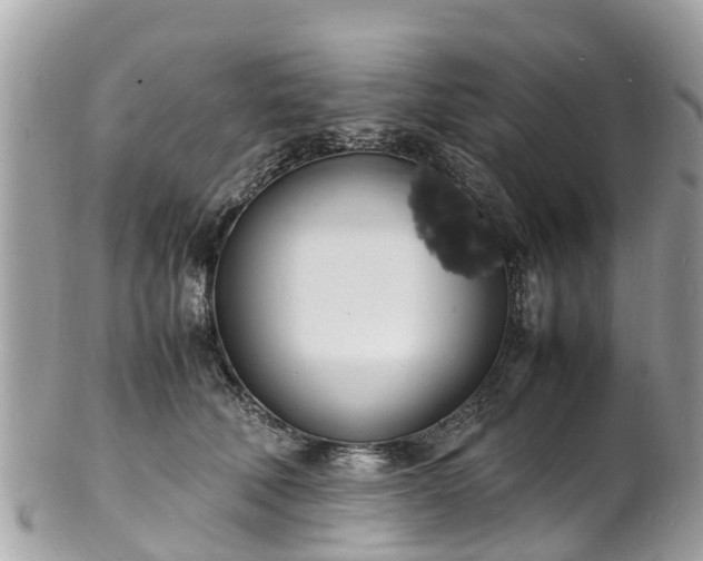 X0000100980610200807011445