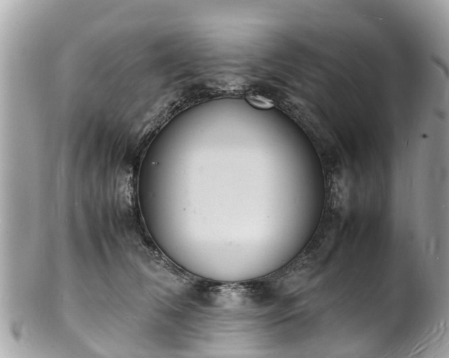 X0000100980612200807011445