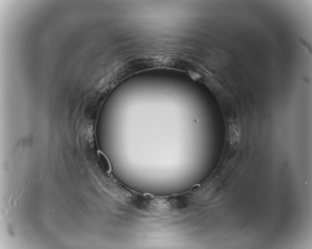 X0000100980613200807011445