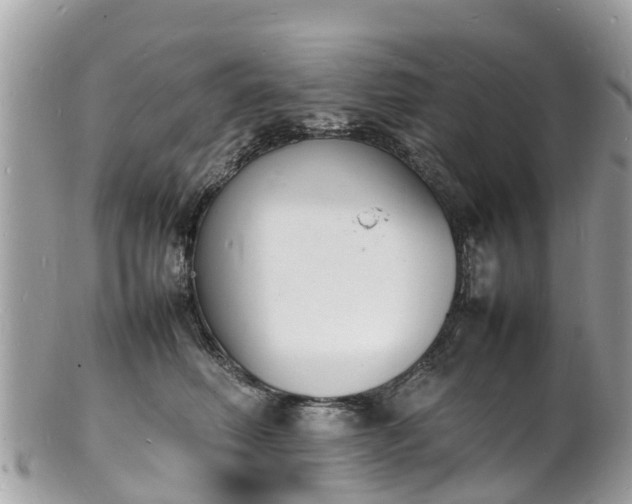 X0000100980614200807011445