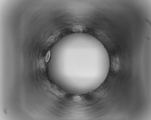 X0000100980616200807011445