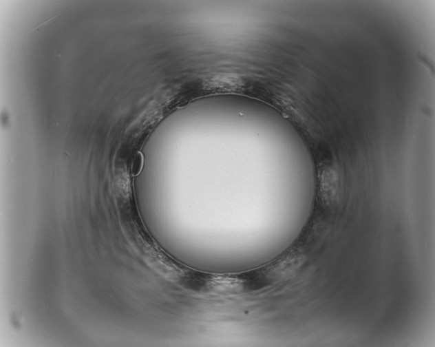 X0000100980617200807011445