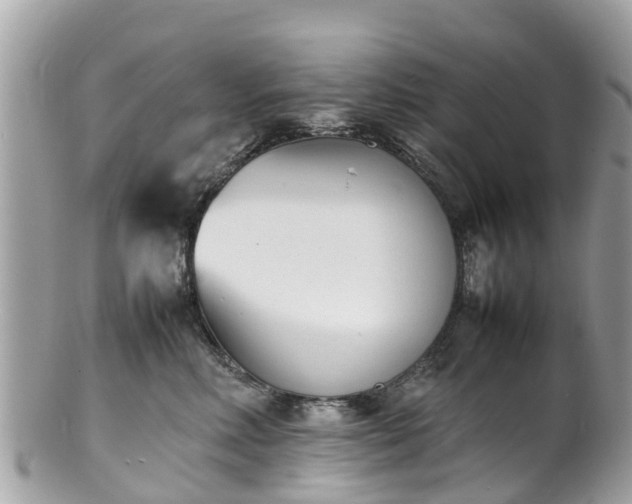 X0000100980618200807011445