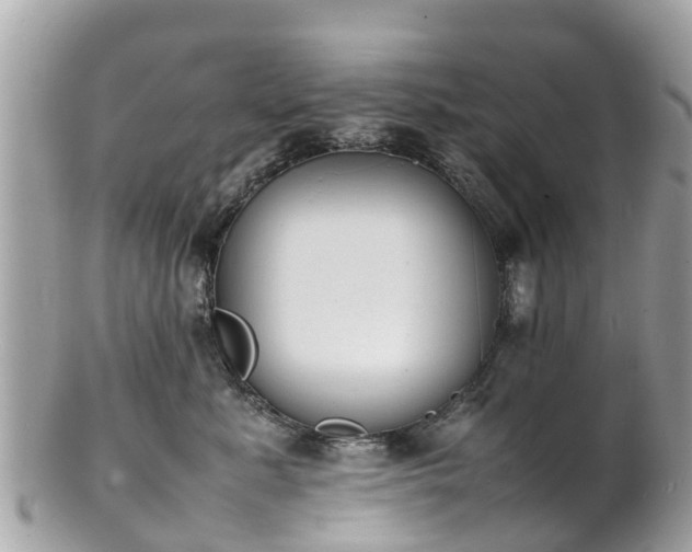 X0000100980619200807011445