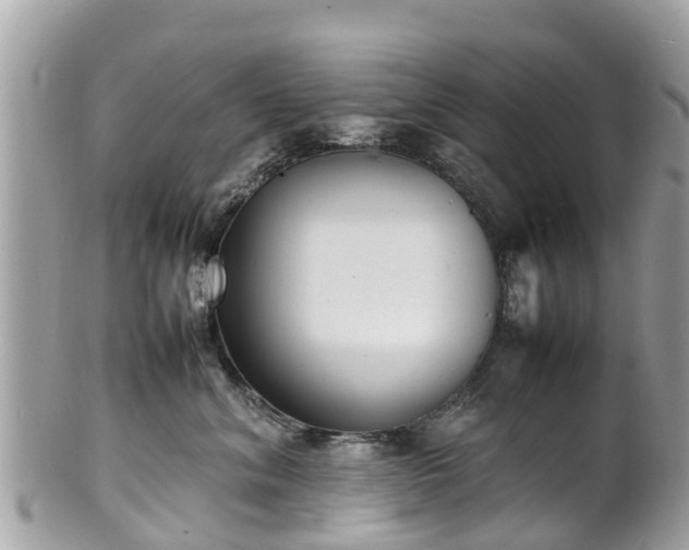 X0000100980620200807011445