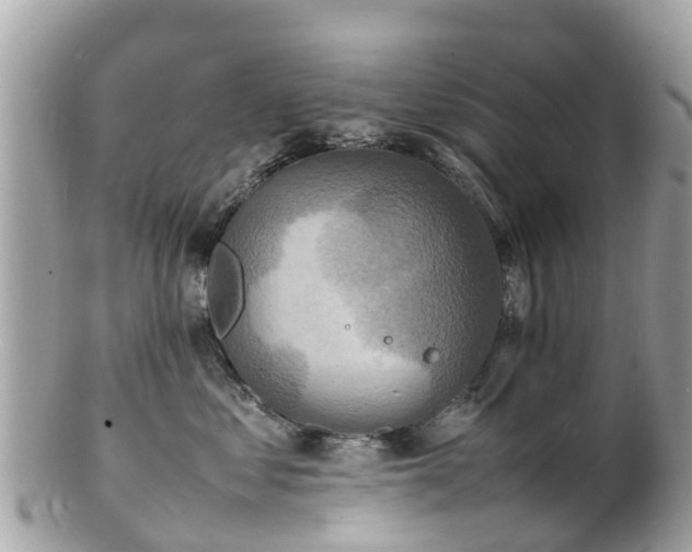 X0000100980621200807011445