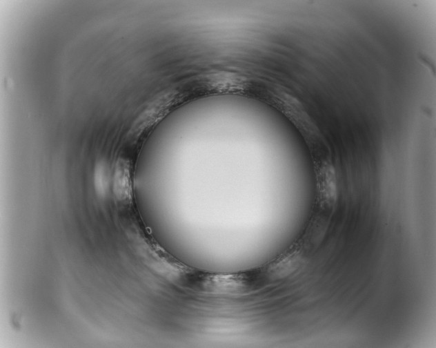 X0000100980622200807011445