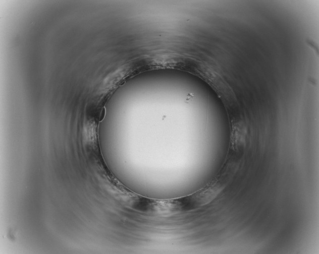 X0000100980623200807011445