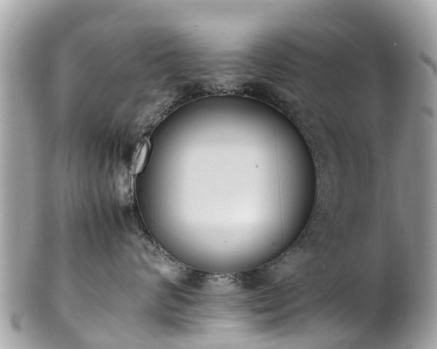 X0000100980624200807011445