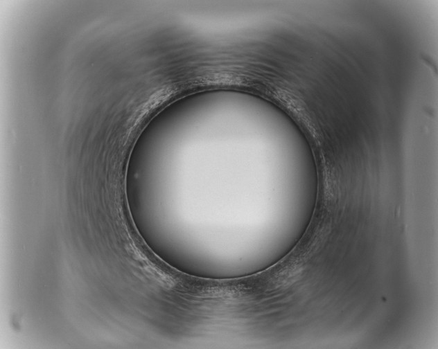 X0000100980625200807011444