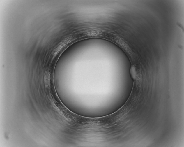 X0000100980626200807011444