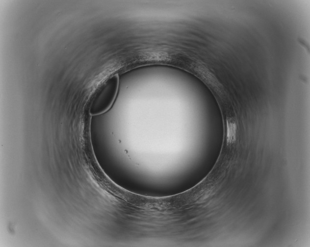 X0000100980627200807011444