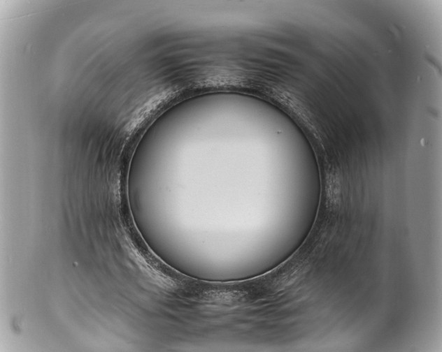 X0000100980629200807011444