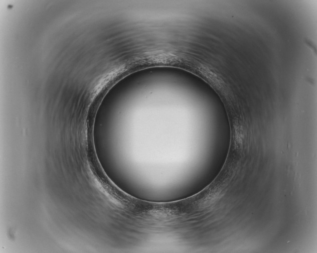 X0000100980630200807011444