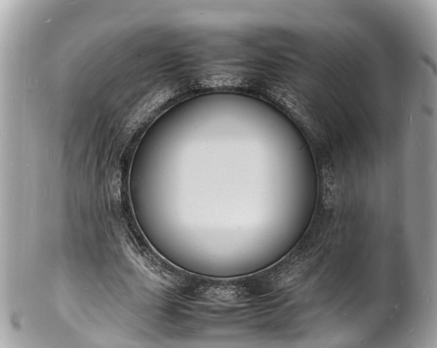 X0000100980631200807011444