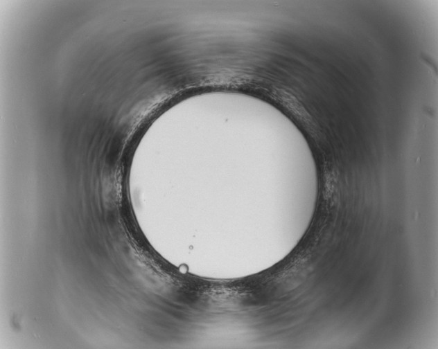 X0000100980632200807011444