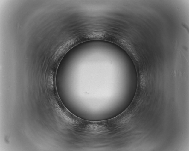 X0000100980633200807011444