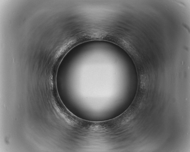 X0000100980634200807011444