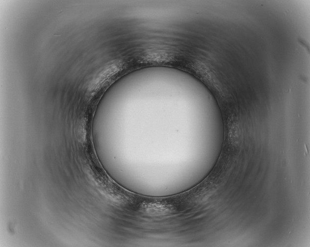 X0000100980635200807011444