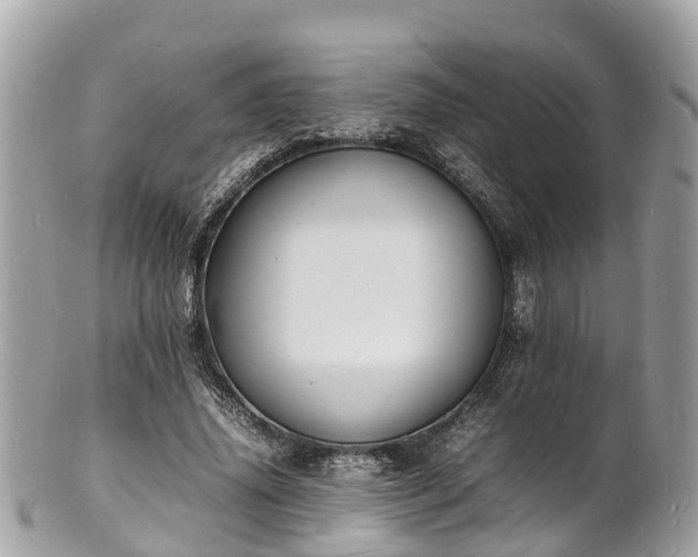 X0000100980636200807011444