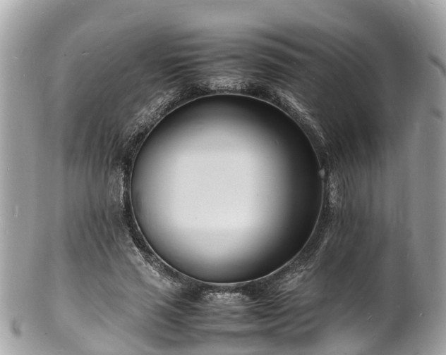 X0000100980637200807011444