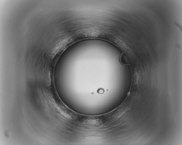 X0000100980638200807011444