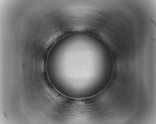 X0000100980640200807011444