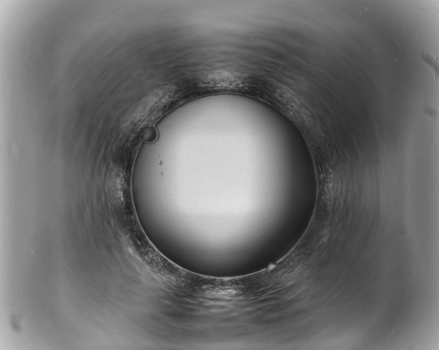 X0000100980643200807011444