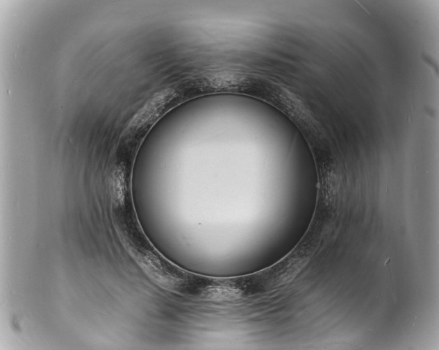 X0000100980644200807011444